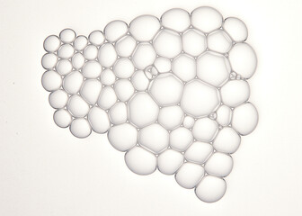 foams or bubbles or cells on the white background