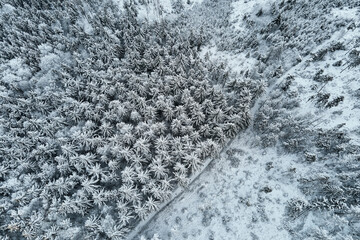 Winter forest with covered trees with snow. Beautiful winter nature landscape, aerial view. Pine forest background