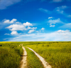 beautiful summer fields