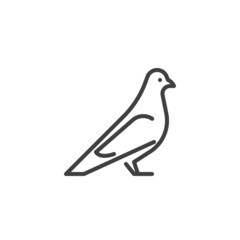 Pigeon bird line icon