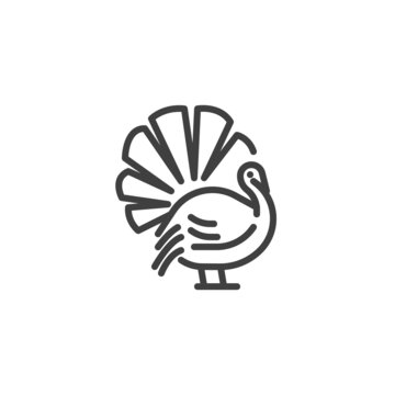 Turkey bird line icon