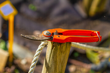 Orange pruning shears on the trunk in the botanical garden of Barcelona (Spain).