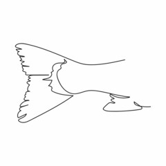 Vector abstract continuous one single simple line drawing icon of fresh fish tail in silhouette sketch.