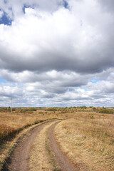 Fototapeta na wymiar empty curved country road in the field, autumn sunny day, Russia 
