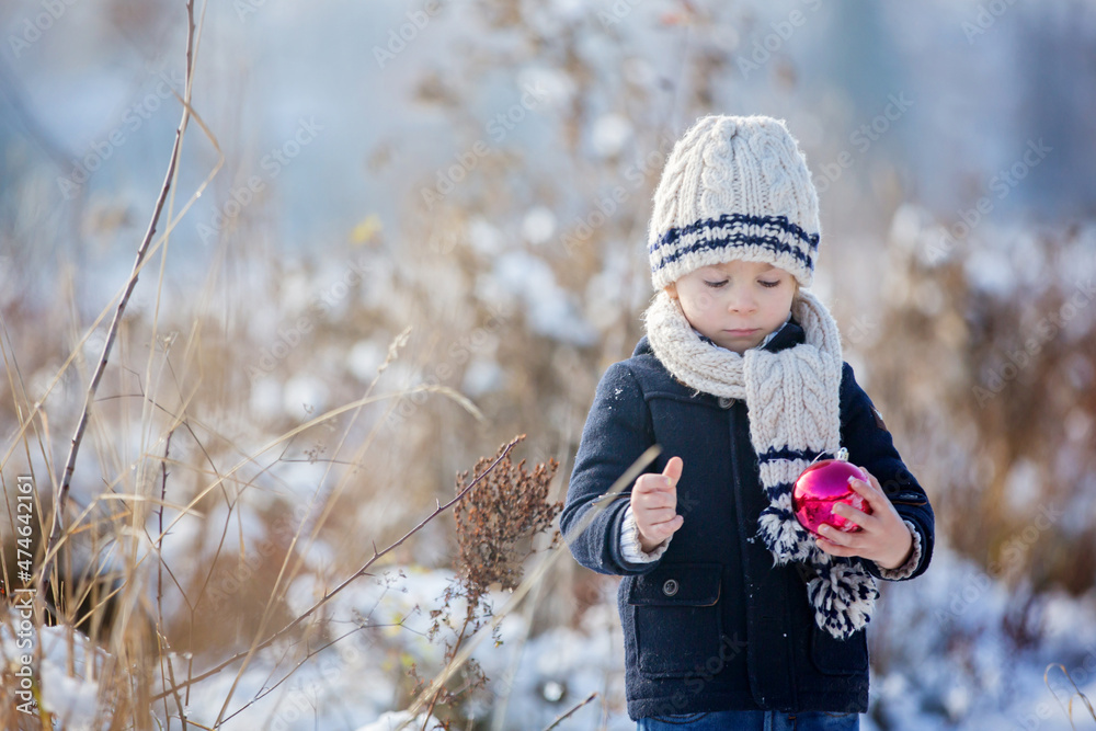 Poster Child, toddler boy, playing with christmas balls for decoration outdoors