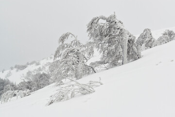 Fototapeta na wymiar Severe weather in winter mountains