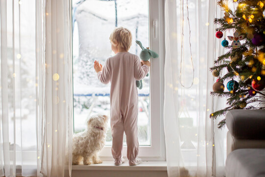Cute toddler boy in pajama, standing in front of a big french windows with his pet dog, enjoying the snow
