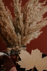 Autumn mood at home