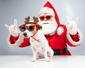 Santa claus and santa's helper in sunglasses on a white background. Jack russell terrier dog in a deer costume