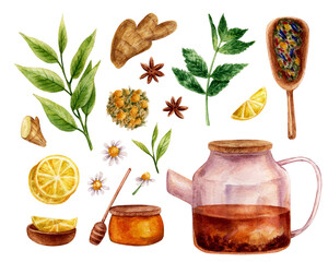 Watercolor clipart with tea