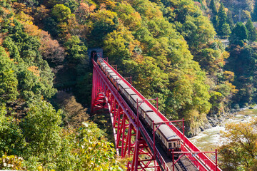 Fototapeta premium 【富山県】宇奈月温泉 新山彦橋（やまびこ展望台より）