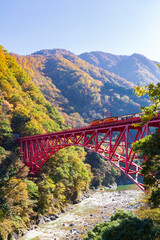 【富山県】秋の黒部峡谷 新山彦橋とトロッコ電車