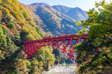【富山県】秋の黒部峡谷 新山彦橋とトロッコ電車