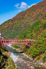 【富山県】秋の黒部峡谷 新山彦橋とトロッコ電車