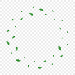 Light Green Leaf Background Transparent Vector. Greenery Environmental Illustration. Light Card. Greenish Agriculture Frame. Leaves Element.