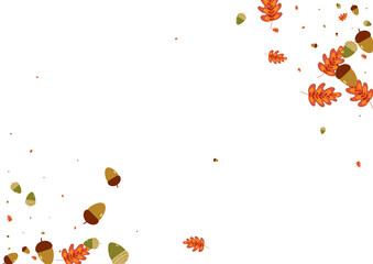 Yellow Leaf Background White Vector. Herb Backdrop Texture. Orange Oak. Organic Illustration. Brown Foliage Vibrant.