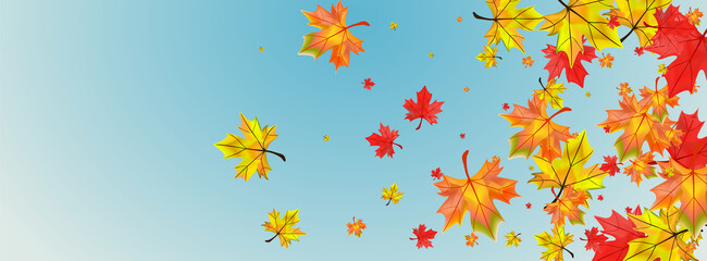 Autumnal Floral Background Blue Vector. Leaves Celebrate Texture. Green Decoration Plant. Seasonal Leaf Illustration.