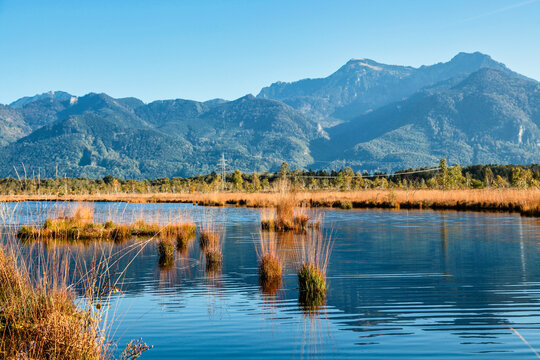 Kendlmuehlfilz near Grassau, an upland moor in Southern Bavaria, Germany
