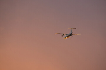 airplane in the evening sky in luminous horizon.