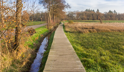 Fototapeta na wymiar Wooden boardwalk in the nature area of Oudemolen, Netherlands