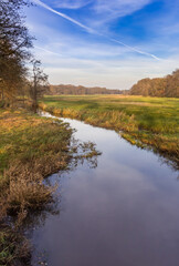 Little river Drentse aa in the nature reserve of Oudemolen, Netherlands