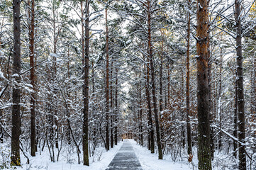Winter scenery of the North Lake National Wetland Park in Changchun, China under the sunset
