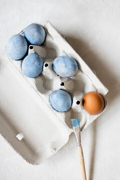 Studio shot of egg carton with blue painted chicken eggs