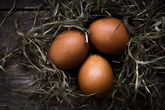 Studio shot of three chicken eggs lying with hay on wooden surface