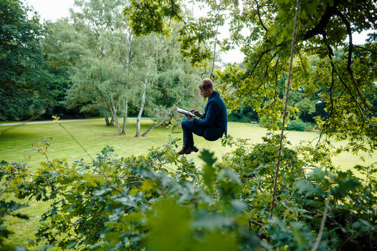 Businessman hanging on tree with rope using digital tablet at park