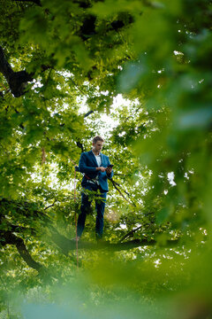 Businessman using mobile phone standing on tree branch