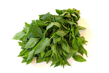 Mint isolated on white. Close-up Mint. organic food