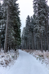 Sch&ouml;ne Winterlandschaft auf den H&ouml;hen des Th&uuml;ringer Waldes bei Floh-Seligenthal - Th&uuml;ringen