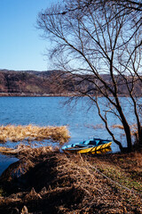 Fototapeta na wymiar boat and tree on the shore of winter lake