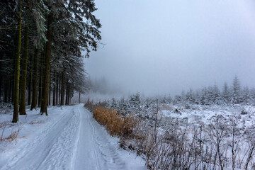 Schöne Winterlandschaft auf den Höhen des Thüringer Waldes bei Floh-Seligenthal - Thüringen
