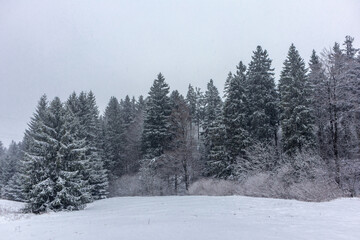 Schöne Winterlandschaft auf den Höhen des Thüringer Waldes bei Floh-Seligenthal - Thüringen