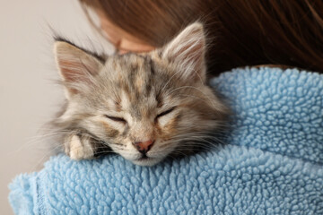 Cute fluffy kitten on owner's shoulder against light background, closeup