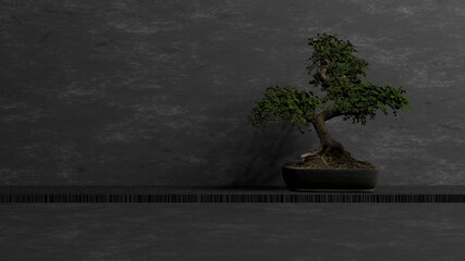 A bonsai (in a clay pot) on a wooden shelf that attached to concrete wall (3D Rendering)