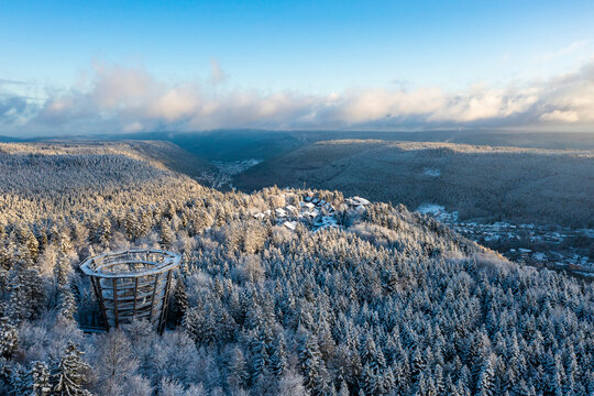 Germany, Baden-Wurttemberg, Bad Wildbad, Aerial view of Black Forest range in winter with Treetop Walk Black Forest lookout tower in foreground