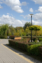 Naklejka premium Alley in the park