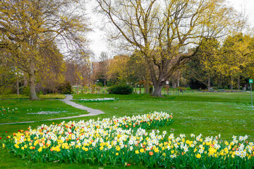Plakat spring in the park