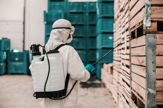 A backside photo of person in a protective suit uses a sprayer with alcohol. Disinfection of space, pallets and air in the warehouse. Specialists warn of the importance coronavirus situation. COVID19
