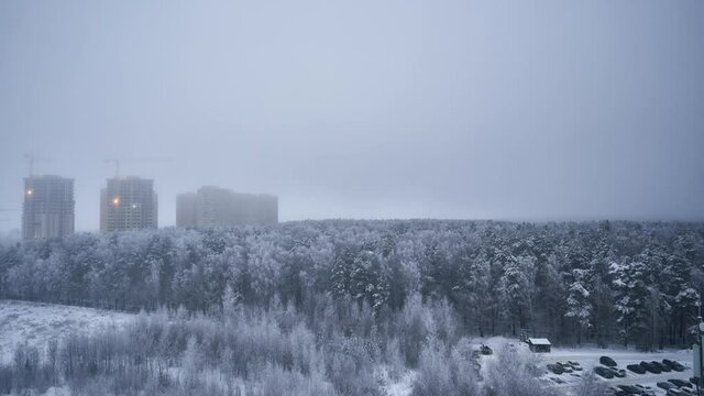morning winter gog forest and building construction