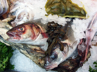Raw fish and other seafood on ice