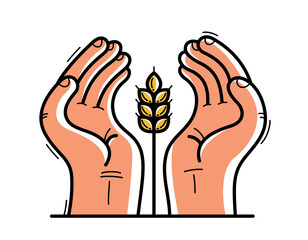 Two hands with ripe spike protecting and showing care vector flat style illustration isolated on white, cherish and defense for food and harvest concept, against famine.