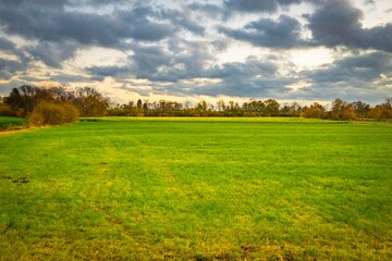 field and blue sky