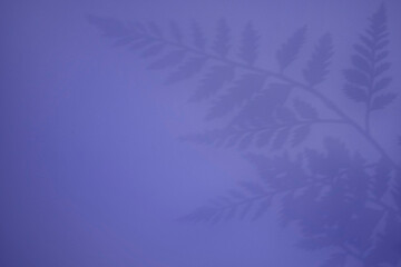 Abstract shadow background of natural fern leaves  falling on Veri Peri wall texture for background and wallpaper. Nature shadow pattern art on the wall. Color of the year 2022.