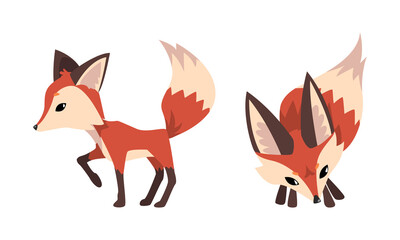Cute Fox Character with Bushy Brush Tail and Triangular Ears Vector Set