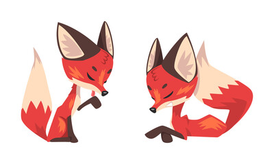 Cute Fox Character with Bushy Brush Tail and Triangular Ears Vector Set