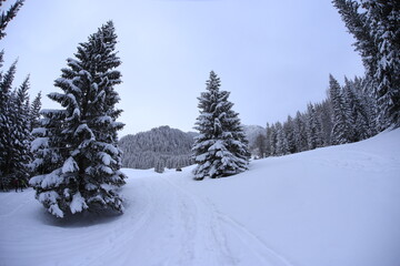 Kondratowa Valley in Winter, Tatra Mountains