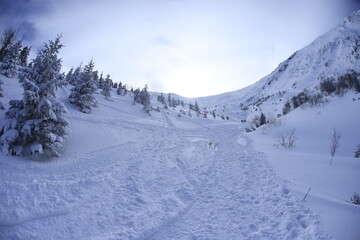 Kondratowa Valley in Winter, Tatra Mountains